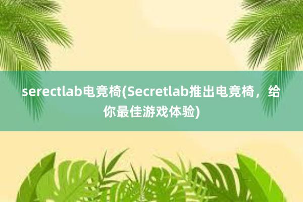 serectlab电竞椅(Secretlab推出电竞椅，给你最佳游戏体验)