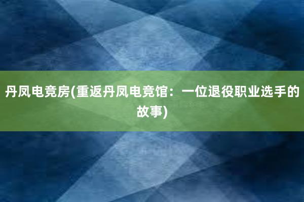 丹凤电竞房(重返丹凤电竞馆：一位退役职业选手的故事)