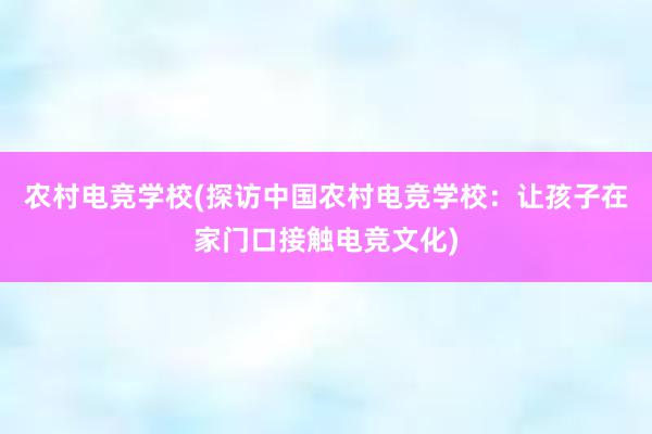 农村电竞学校(探访中国农村电竞学校：让孩子在家门口接触电竞文化)