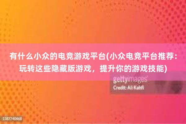 有什么小众的电竞游戏平台(小众电竞平台推荐：玩转这些隐藏版游戏，提升你的游戏技能)