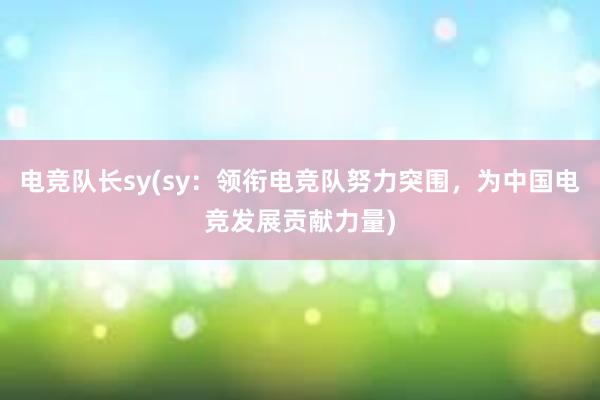 电竞队长sy(sy：领衔电竞队努力突围，为中国电竞发展贡献力量)