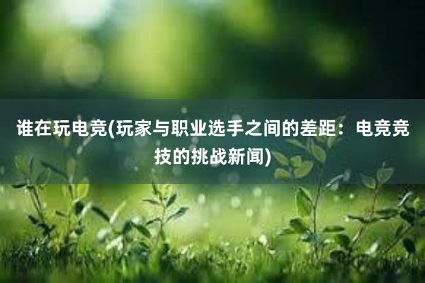 谁在玩电竞(玩家与职业选手之间的差距：电竞竞技的挑战新闻)