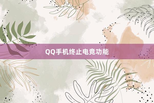 QQ手机终止电竞功能