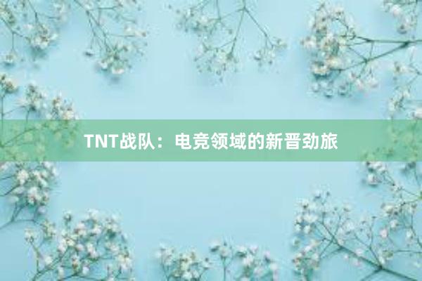 TNT战队：电竞领域的新晋劲旅