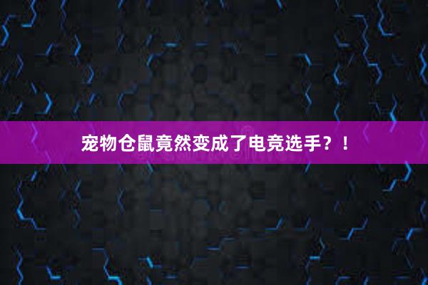 宠物仓鼠竟然变成了电竞选手？！