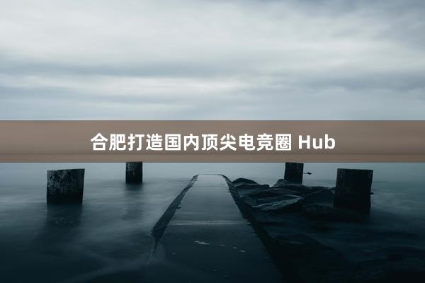 合肥打造国内顶尖电竞圈 Hub