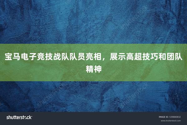 宝马电子竞技战队队员亮相，展示高超技巧和团队精神