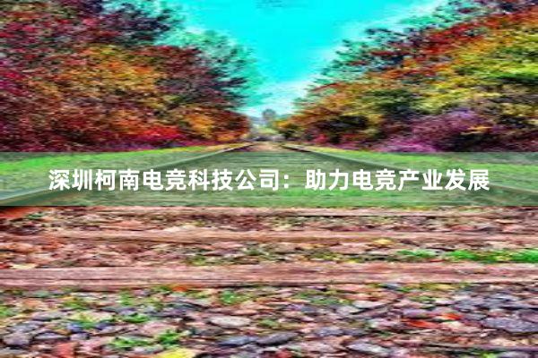 深圳柯南电竞科技公司：助力电竞产业发展