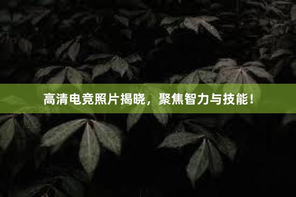 高清电竞照片揭晓，聚焦智力与技能！