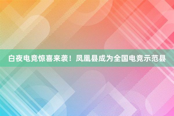 白夜电竞惊喜来袭！凤凰县成为全国电竞示范县