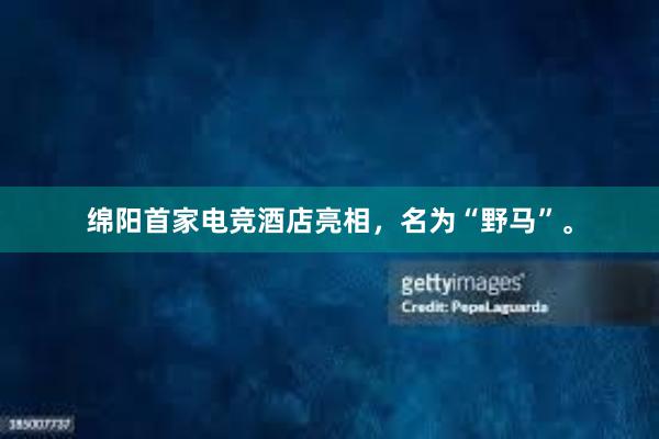 绵阳首家电竞酒店亮相，名为“野马”。